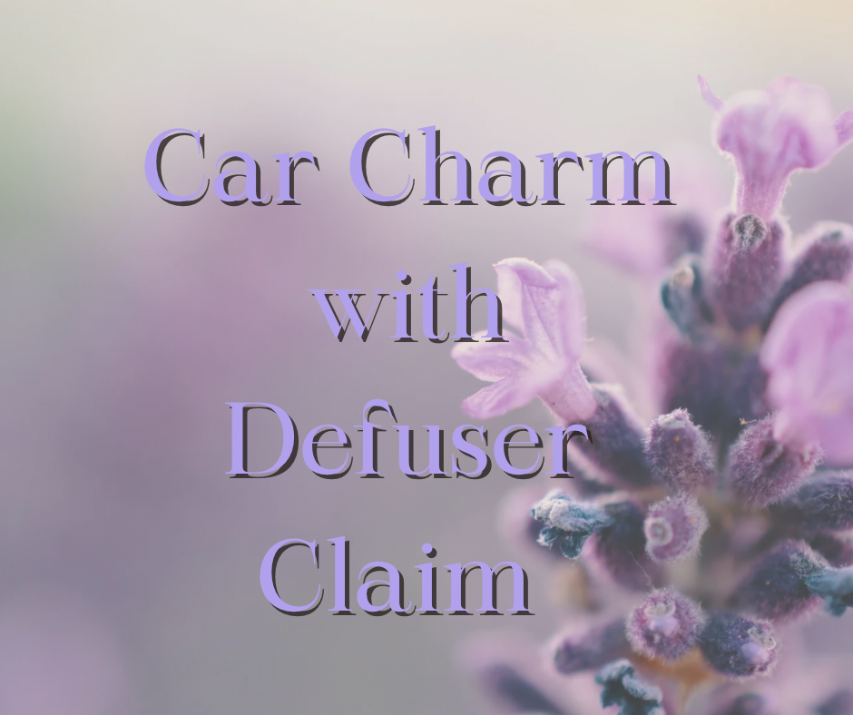 Car Charm with Empty Diffuser